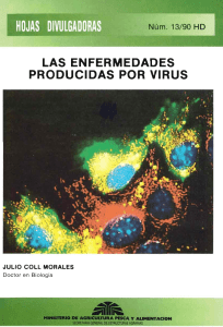 LAS ENFERMEDADES PRODUCIDAS POR VIRUS