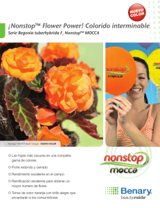 ¡Nonstop™ Flower Power! Colorido interminable