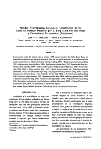 Observacion de los Tipos de Miridae Descritos por