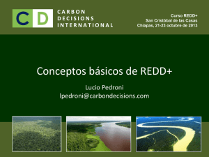 Conceptos básicos de REDD+