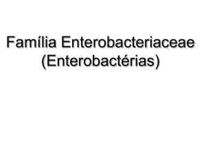 Enterobacter
