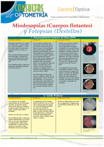 Miodesopsias (Cuerpos flotantes) y Fotopsias (Destellos)