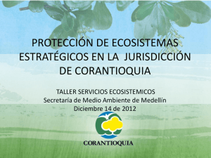 Proteccion de ecosistemas estrategicos en la jurisdiccion de