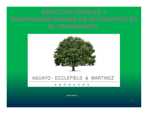aspectos legales y responsabilidades en accidentes en el transporte.