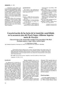 GEOGACETA, `IO, 1991 — Finalmente cabe señalar, que