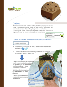 brochure cubos