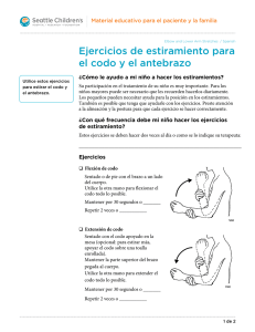 PE1845S Elbow and Lower Arm Stretches - Spanish