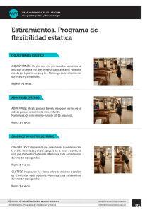 Estiramientos. Programa de ﬂexibilidad estática