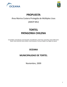 propuesta tortel patagonia chilena