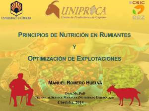 E) Principios Nutritivos en Rumiantes y Optimización de Explotaciones