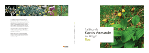 Catálogo de especies amenazadas en Aragón. Flora