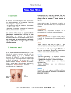 1. Definición 2. Anatomía renal FISIOLOGÍA RENAL