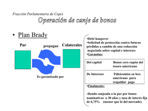 • Plan Brady - Vladimir Petit