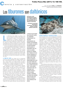 Los tiburones son daltónicos - Universidad Complutense de Madrid