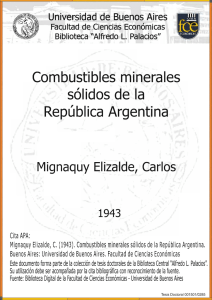 Combustibles minerales sólidos de la República Argentina