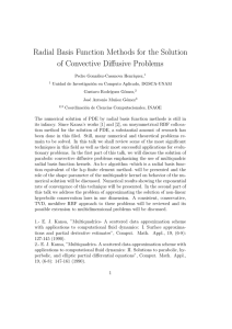 Radial Basis Function Methods for the Solution of