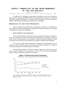 Costos y Beneficios de una Unión Monetaria: El Caso del Mercosur