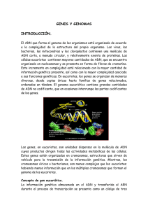 genes y genomas