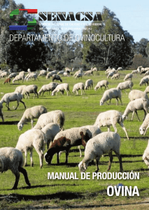 Manual de ovinos SENACSA 2014