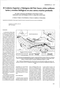 El Cretácico Superior y Paleógeno del País Vasco: ciclos sedimen