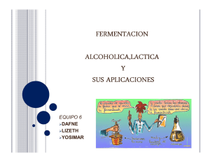 FERMENTACION ALCOHOLICA,LACTICA Y SUS APLICACIONES