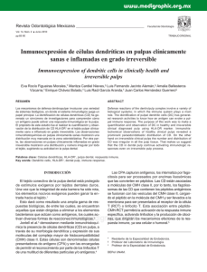 Inmunoexpresión de células dendríticas en pulpas