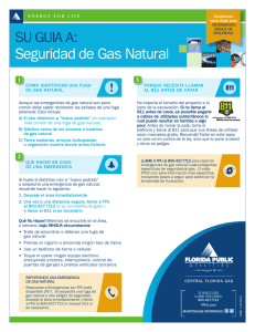 Seguridad de Gas Natural