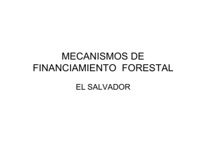 Presentación: "Mecanismos de financiamiento forestal "