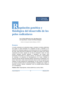 R egulación genética y fisiológica del desarrollo de los pelos