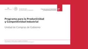 Programa para la Productividad y Competitividad Industrial Unidad
