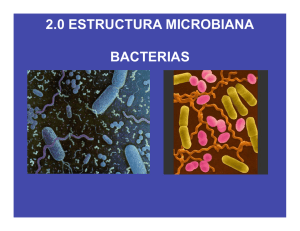 CLASE 3b Morfología Bacterias