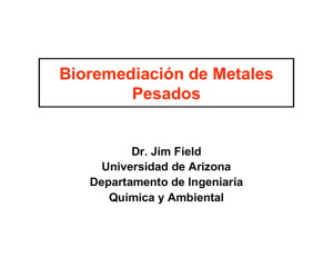 Bioremediación de Metales Pesados