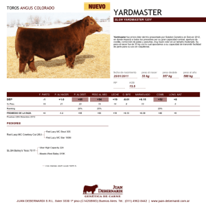 yardmaster - Juan Debernardi S.R.L.