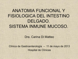 mucosa - Clínica de Gastroenterología.