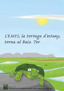 L`EMYS, la tortuga d`estany, torna al Baix Ter