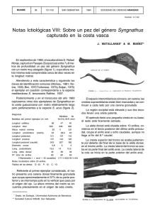 Notas ictiológicas VIII: sobre un pez del género Syngnathus