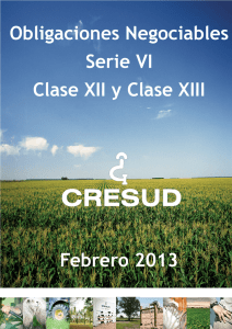 Obligaciones Negociables Serie VI Clase XII y Clase XIII Febrero 2013