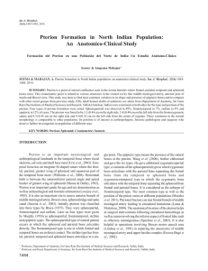 Pterion Formation in North Indian Population: An Anatomico