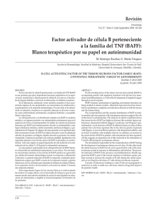 Factor activador de célula B perteneciente a la familia del TNF (BAFF)