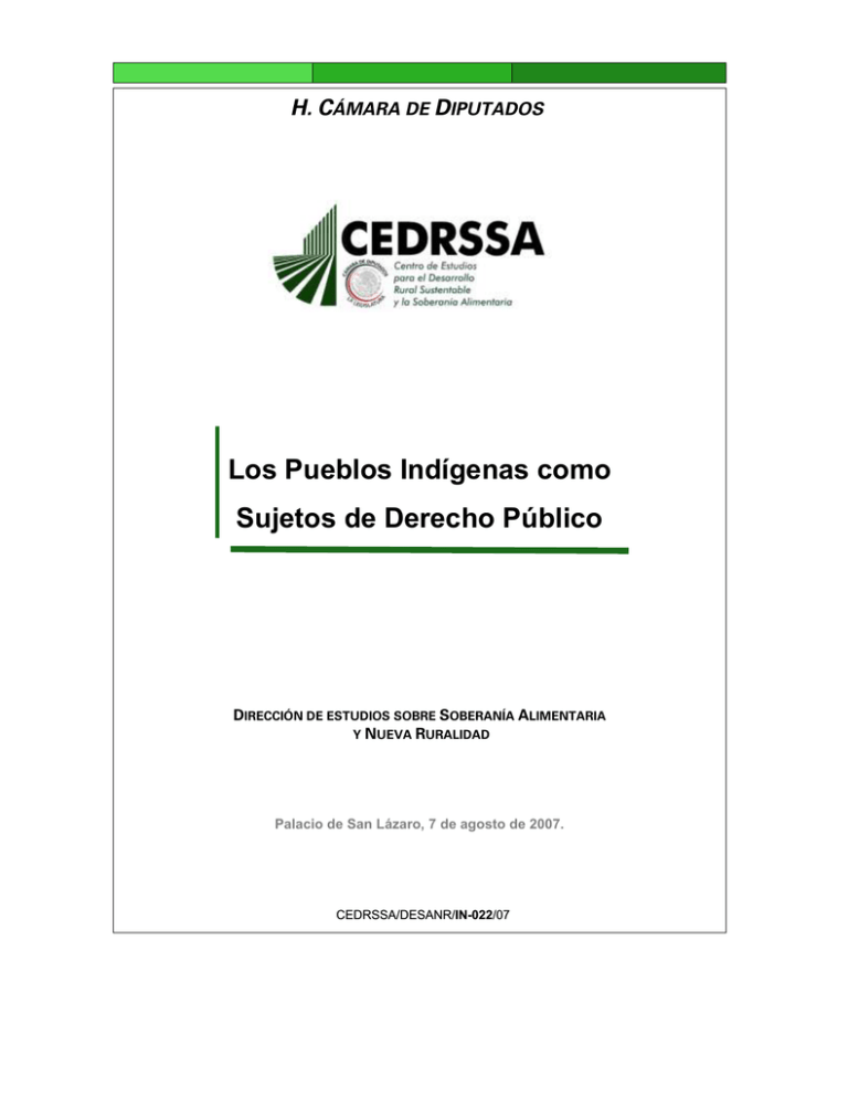 Los Pueblos Indígenas Como Sujetos De Derecho Público 4767