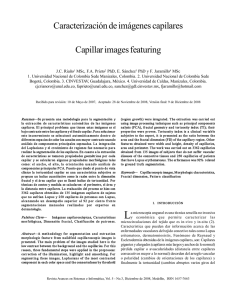 Caracterización de imágenes capilares Capillar images featuring