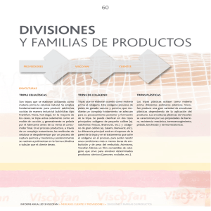 divisiones Y FAMILIAS DE PRODUCTOS - Informe Anual