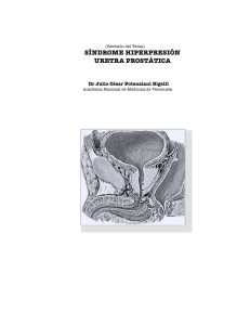 Síndrome Hiperpresión Uretra Prostática (PDF Available)