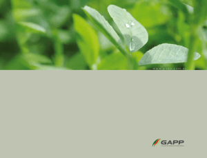 Catalogo GAPP 2015