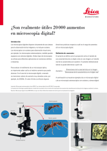Son realmente útiles 20 000 aumentos en microscopía digital?
