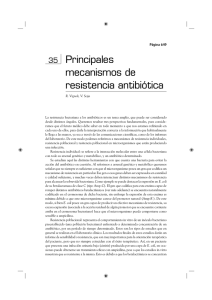 Principales mecanismos de resistencia antibiótica