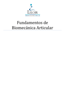Fundamentos de biomecánica articular documento PDF