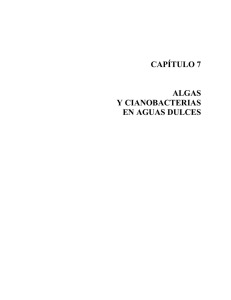 capítulo 7 algas y cianobacterias en aguas dulces