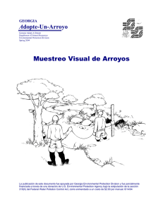 Muestreo Visual de Arroyos