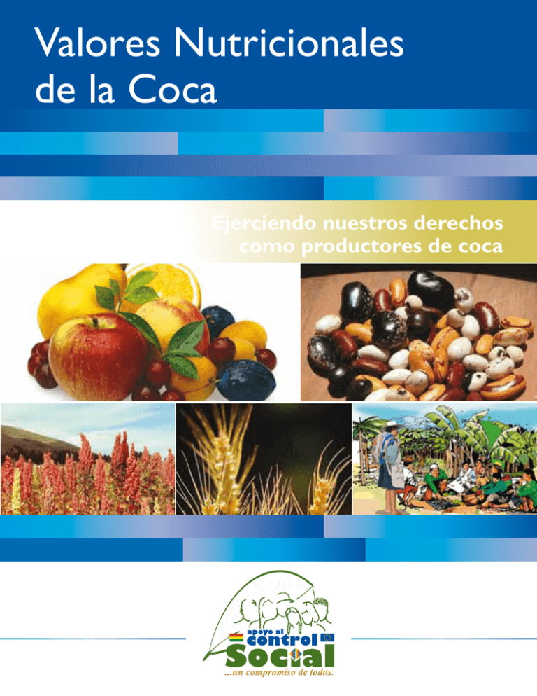 Valores Nutricionales de la Coca
